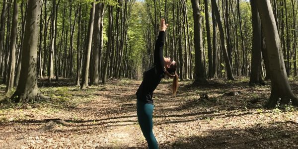 373302D8-DE4F-4DF9-A6B8-26E219B9204D_1_105_c